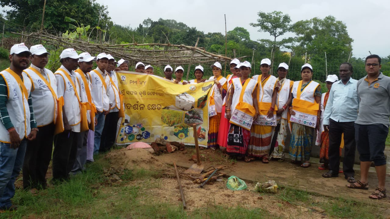 ସୀମିତ ଖର୍ଚ୍ଚ ଆଉ ଉନ୍ନତ ଉତ୍ପାଦନର ପାଣ୍ଡୁଲିପି 