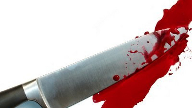 ଭିଣୋଇର କଟୁରୀ ଚୋଟରେ ଶଳା ମୃତ