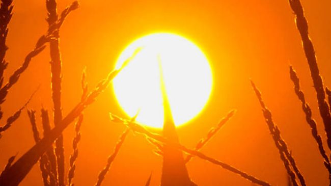 କାଲିଠୁ ବଢିବ ତାତି