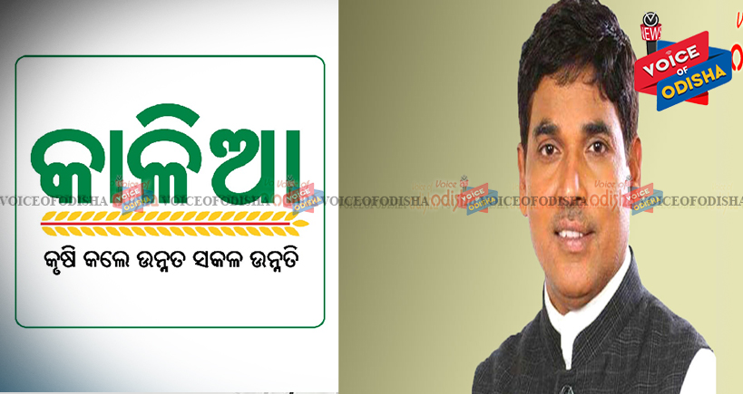 ‘କାଳିଆ’ ଯୋଜନା ଚାଲୁ ରହିବ : ଅରୁଣ ସାହୁ 