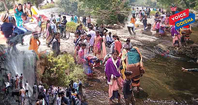 ଆସିଲା ବଣଭୋଜି ଋତୁ, ଗୁଡହାଣ୍ଡି ଡୋକରି ଚଞ୍ଚରାରେ ଜମିଲା ପର୍ୟ୍ୟଟକଙ୍କ ଭିଡ