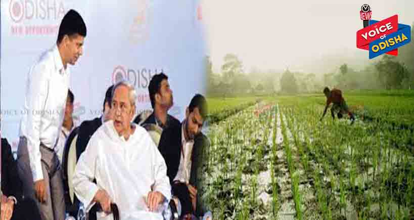 ୫-ଟି ଅଧୀନକୁ ଆସିଲା କୃଷି ବିଭାଗ