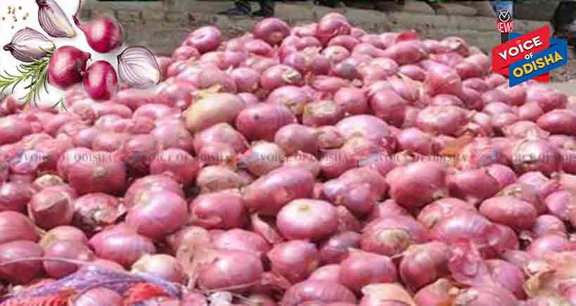 ପିଆଜ ସମ୍ପର୍କିତ ତଥ୍ୟ...