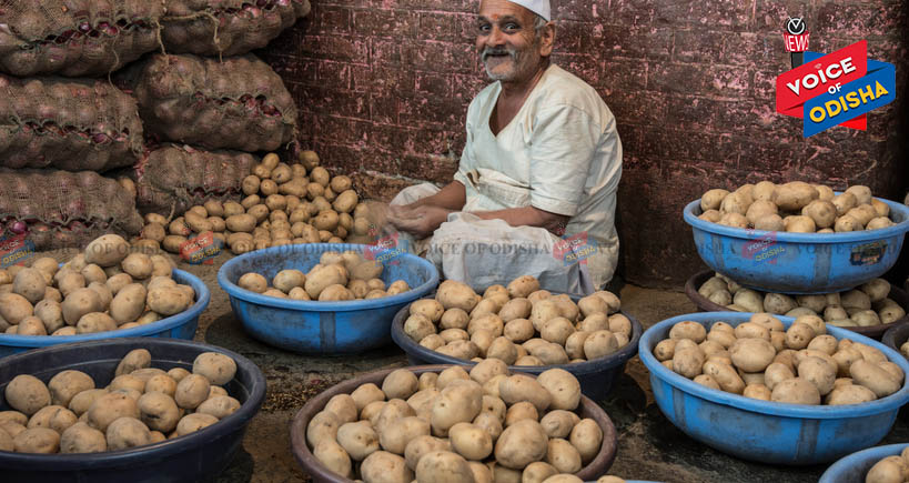 ପବନରେ ହେବ ଆଳୁ ଚାଷ