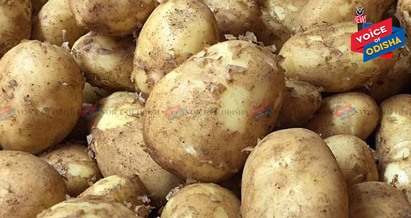 ୩୫ ଛୁଇଁଲା ଆଳୁ, ଗରିବ, ମଧ୍ୟବିତ୍ତଙ୍କ ମୁଣ୍ଡରେ ଚଡ଼କ