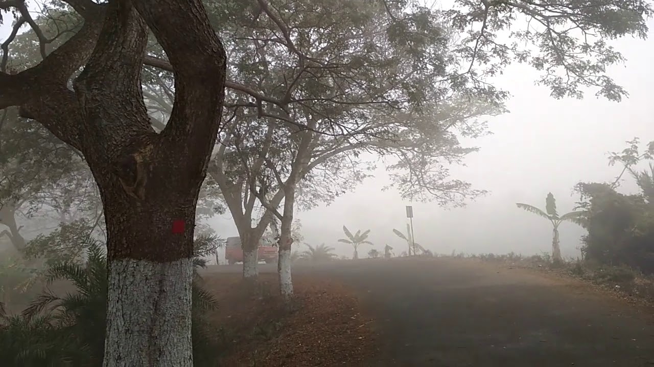 ୪ ଦିନ ଯାଏ କୁହୁଡ଼ି, ରାତି ତାପମାତ୍ରା ୨ ରୁ ୪ଂ ବଢ଼ିବ