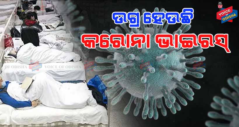 ଚୀନରେ ‘କରୋନା’ର ସ୍ଥିତି ଭୟଙ୍କର, ଗୋଟିଏ ଦିନରେ ୨୪୨ ଜଣଙ୍କର ମୃତ ଘଟିଥିବା ବେଳେ ୧୪ ହଜାରରୁ ଅଧିକ ଆକ୍ରାନ୍ତ ।