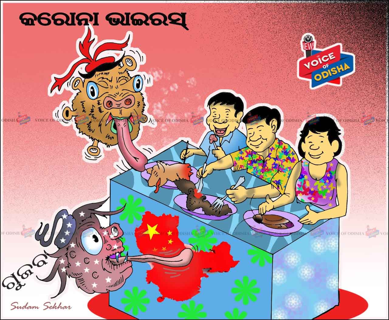 ବାଦୁଡି, କୁକୁର ମାଂସ ଖାଇ କରୋନାରେ ଘାଂଟି ହେଉଛି ଚାଇନି 