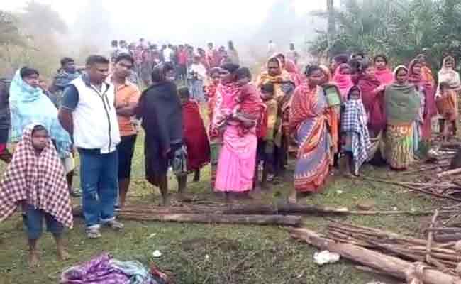 ବୃଦ୍ଧାଙ୍କୁ କଚାଡି ମାରିଲା ହାତୀ । 