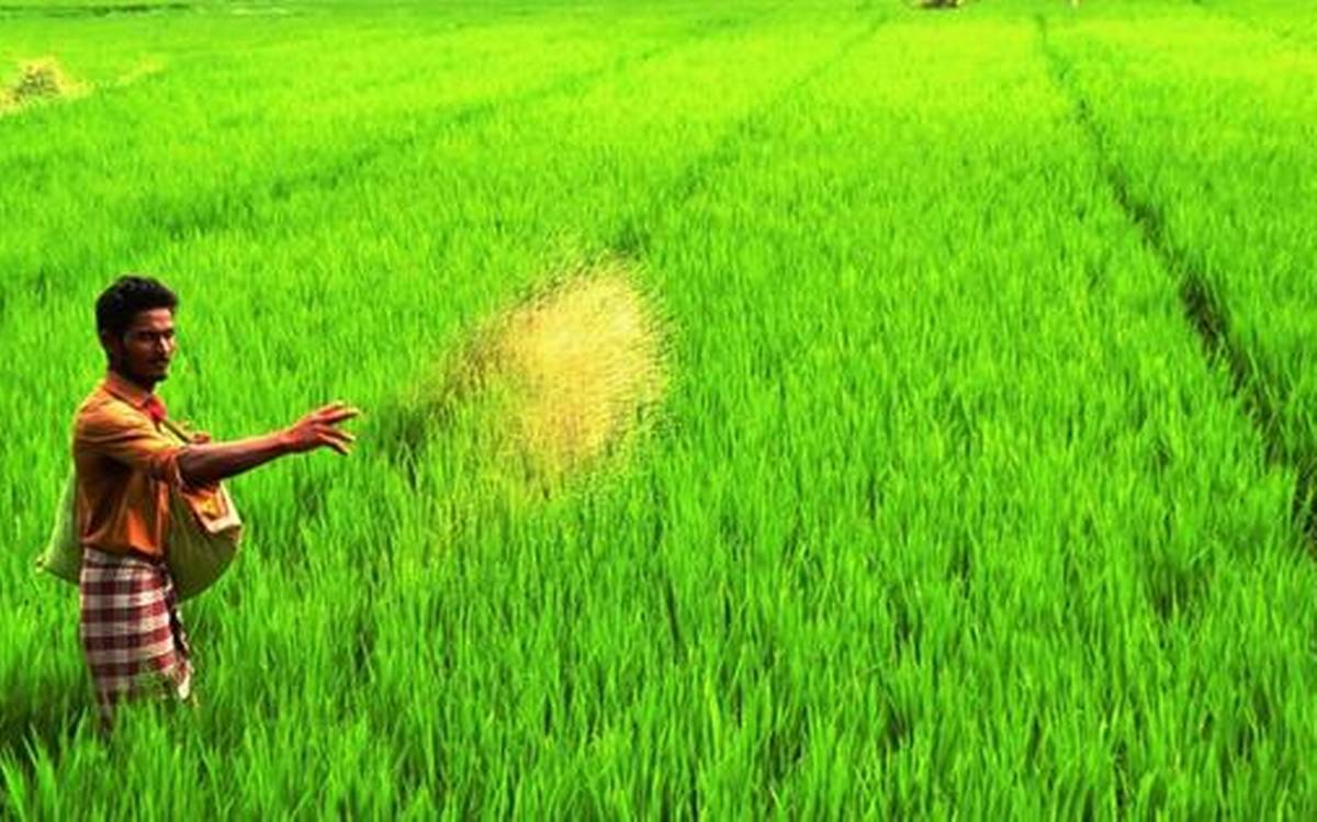 ଅଗଷ୍ଟ ପହିଲାରୁ ଚାଷୀ ପଞ୍ଜୀକରଣ