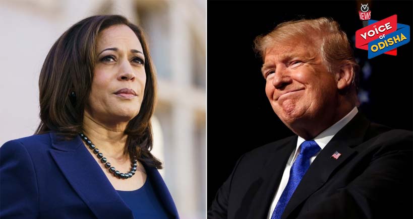 କମଲାଙ୍କ ଅପେକ୍ଷା ମତେ ପସନ୍ଦ କରନ୍ତି ଭାରତୀୟ ଭୋଟର : ଟ୍ରମ୍ପ