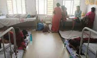 Four more Japanese Encephalitis cases reported in Balasore