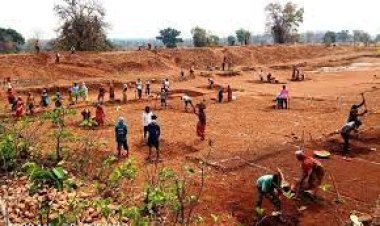 ବଜେଟ: ମନରେଗା ପାଇଁ ୧ ହଜାର ୮ଶହ କୋଟି