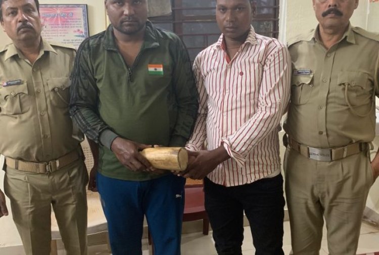 3 kg tusk seized, 2 smugglers arrested in Bhubaneswar