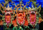 Fagu Dashami: Special Rituals at Lord Jagannath Temple in Puri Today
