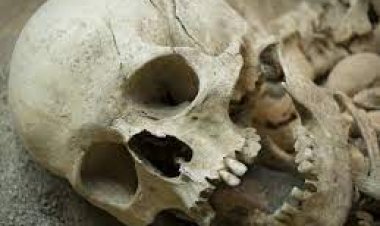ପୋଖରୀରୁ ନରକଙ୍କାଳ ଉଦ୍ଧାର