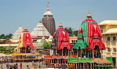 ରଥଯାତ୍ରା ପାଇଁ  ୨୯ ଗଛ ଚିହ୍ନଟ