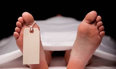 Man commits suicide after killing wife