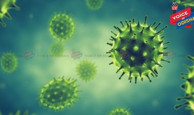 Odisha reports 17 new Covid-19 cases, total rises to 73