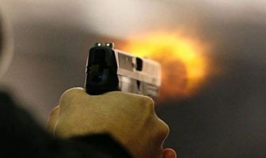 Two Forest watchers shot at by miscreants during night patrol in Boudh