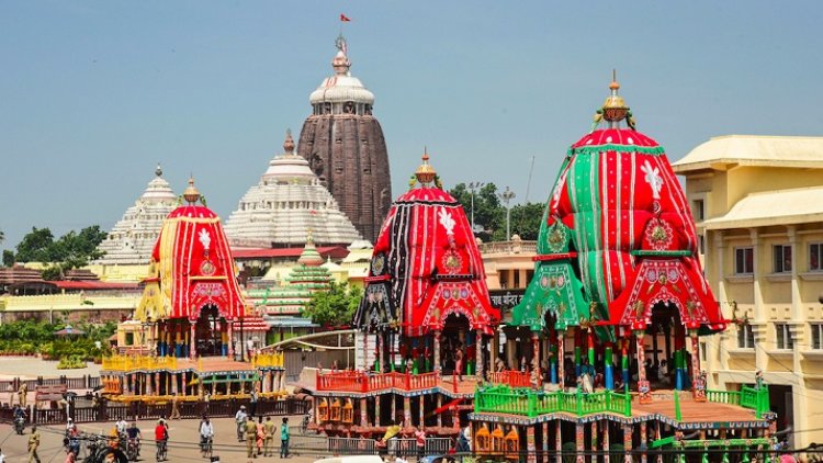 ରଥଯାତ୍ରା ପାଇଁ  ୨୯ ଗଛ ଚିହ୍ନଟ