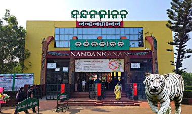 ଦୁଃଖଦ ଖବର:  ନନ୍ଦନକାନନରେ ଆନାକୋଣ୍ଡା, ପାଣିଗୋଧି ଶାବକ ମୃତ