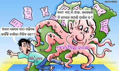 କେତେ ଲମ୍ବିଛି ଜାଲ ସାର୍ଟିଫିକେଟ ଚେର