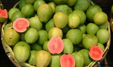 ଆପଣ ଖାଉଛନ୍ତି କି ପିଜୁଳି ?