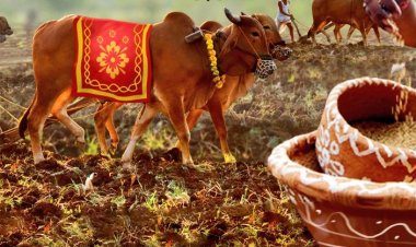 ଅକ୍ଷୟ ତୃତୀୟା, ଅଖିମୁଠି ଅନୁକୂଳ କରିବେ ଚାଷୀ