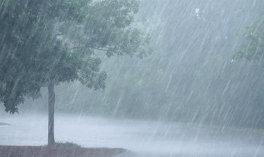 କାଚିବ ବର୍ଷା : ୧୯ ଜିଲ୍ଲାକୁ ୟେଲୋ ଆଲର୍ଟ