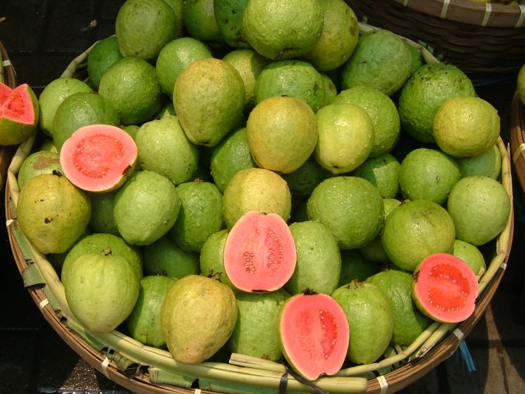 ଆପଣ ଖାଉଛନ୍ତି କି ପିଜୁଳି ?
