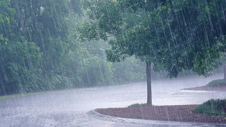 Heavy rain to lash Odisha, Orange alert issued