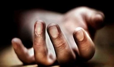 ହାତୀ ଆକ୍ରମଣରେ ବୃଦ୍ଧ ମୃତ