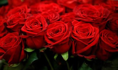 ପ୍ରେମର ପ୍ରତୀକରେ ବାସ୍ତୁ ବିଚାର