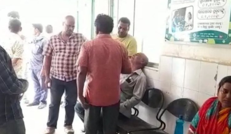 Man Killed, grandson Injured In Bee Attack in Odisha