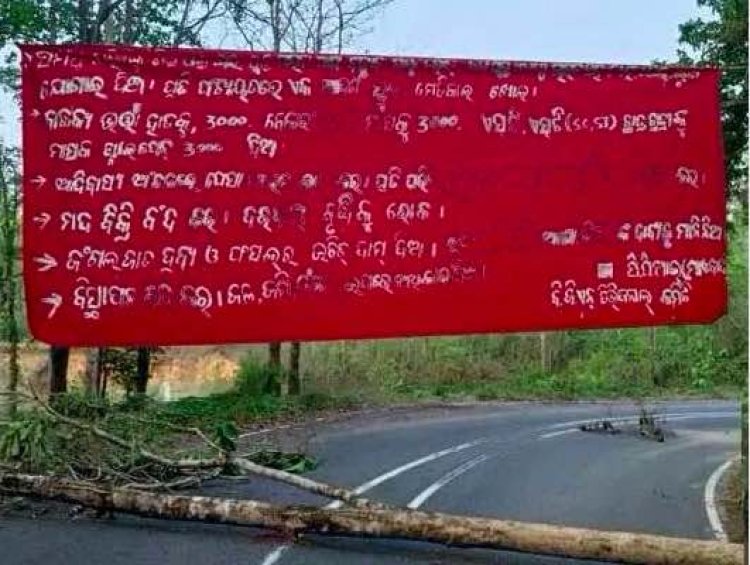Maoists fell trees, block roads in Rayagada