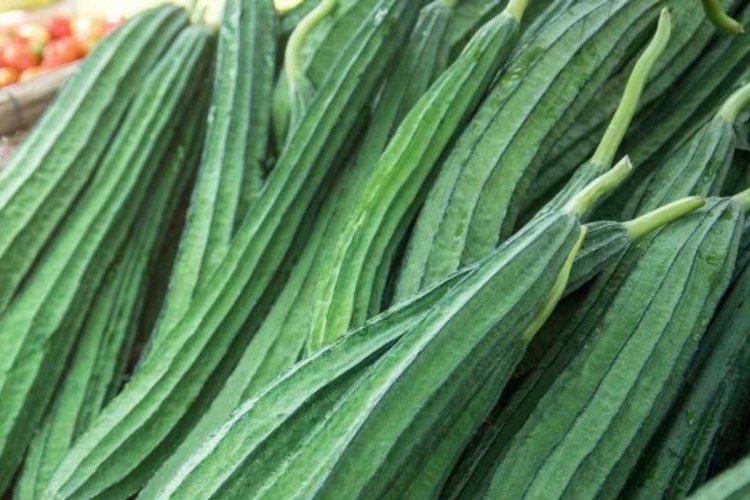 ଭାରି ସ୍ୱାସ୍ଥ୍ୟକର ପରିବାଟିଏ ଜହ୍ନି