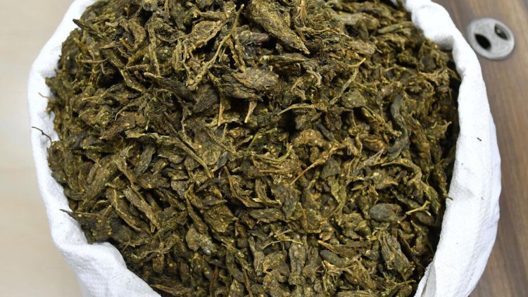 ପୋଲିସ ଆଖିରେ ଧୂଳି: ପ୍ରେସ ଲେଖି ଗଞ୍ଜେଇ ଚୋରା ଚାଲାଣ