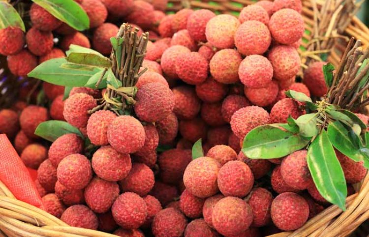 ଖାଆନ୍ତୁ ନାହିଁ ଅଧିକ ଲିଚି, ଜାଣନ୍ତୁ କ’ଣ ହେବ ଅସୁବିଧା ?