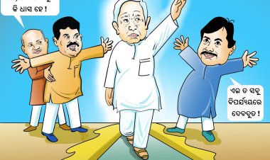 ବିପର୍ଯ୍ୟୟର ଦେବଦୂତ ନବୀନ