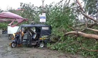 ବାତ୍ୟା ବିପର୍ଯ୍ୟୟ, ଗୁଜରାଟର ୧୦ ଜିଲ୍ଲା ପ୍ରଭାବିତ