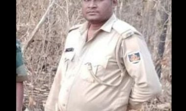 Another forest official shot dead by poachers in Similipal