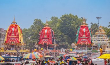 Rath Yatra: Deities' Adap Mandap Bije, Sandhya Darshan today