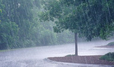 Heavy rain to lash Odisha from July 5; yellow alert issued