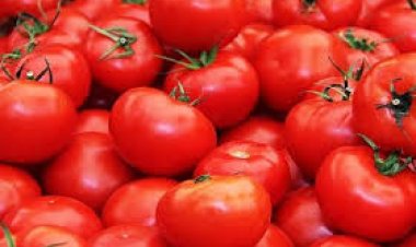 ଦୋକାନରୁ ଟମାଟୋ, ଅଦା, କଞ୍ଚାଲଙ୍କା ଚୋରି; ୨ ଗିରଫ