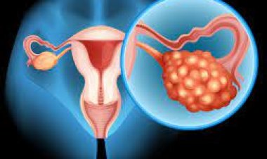 ବିୟୁଟିସିଆନ୍କୁ ଗର୍ଭାଶୟ କର୍କଟ ଆଶଙ୍କା ବେଶି