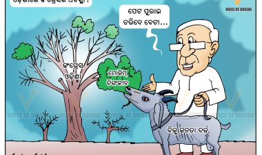 ଓଡ଼ିଶା କଂଗ୍ରେସ ଅବସ୍ଥା