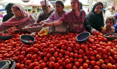 ଟମାଟୋ ବିଗାଡ଼ିବ ଦରଦାମ୍