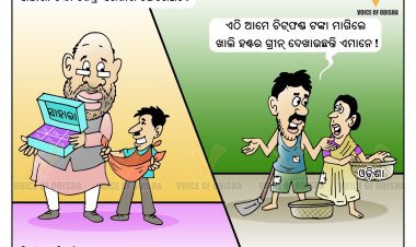 ହଣ୍ଟର ଗ୍ରିନ୍‌ ରାଜନୀତି