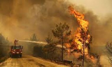 ସବୁଠାରୁ ଉତ୍ତପ୍ତ ମାସ ଜୁଲାଇ ୨୦୨୩ : ନାସା